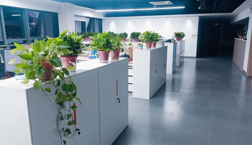 赵利,公司经营范围包括:软件开发与销售;计算机应用服务